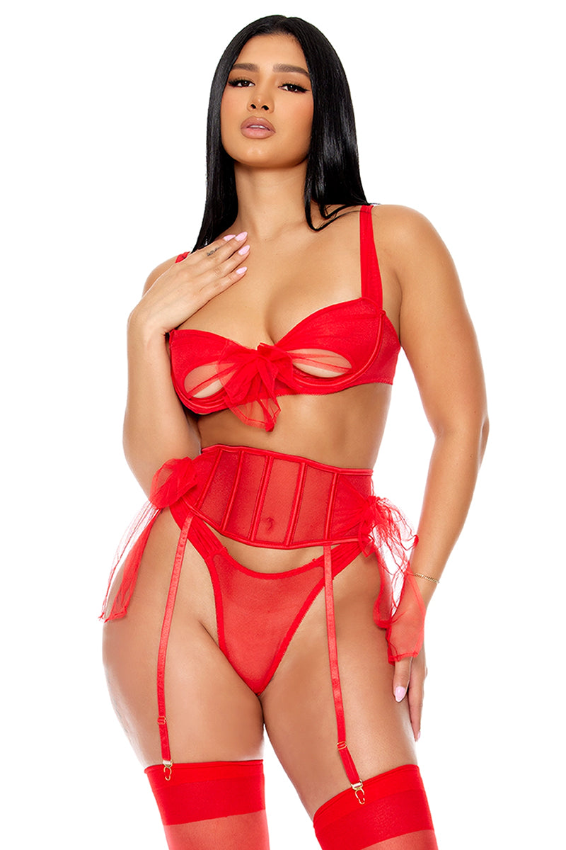 Forplay Unwrap Me 3 Piece Mesh Bow Detail Bra and Waist Cincher Set